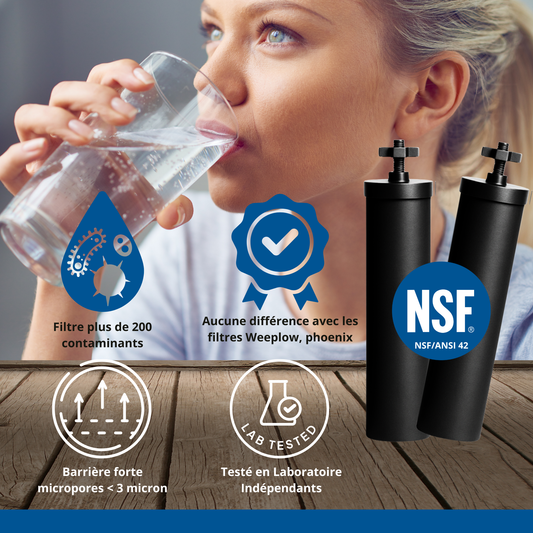 Monderma water filters fontaine monderma Fontaine Monderma Big 8.5L - 2 cartouches Black filters