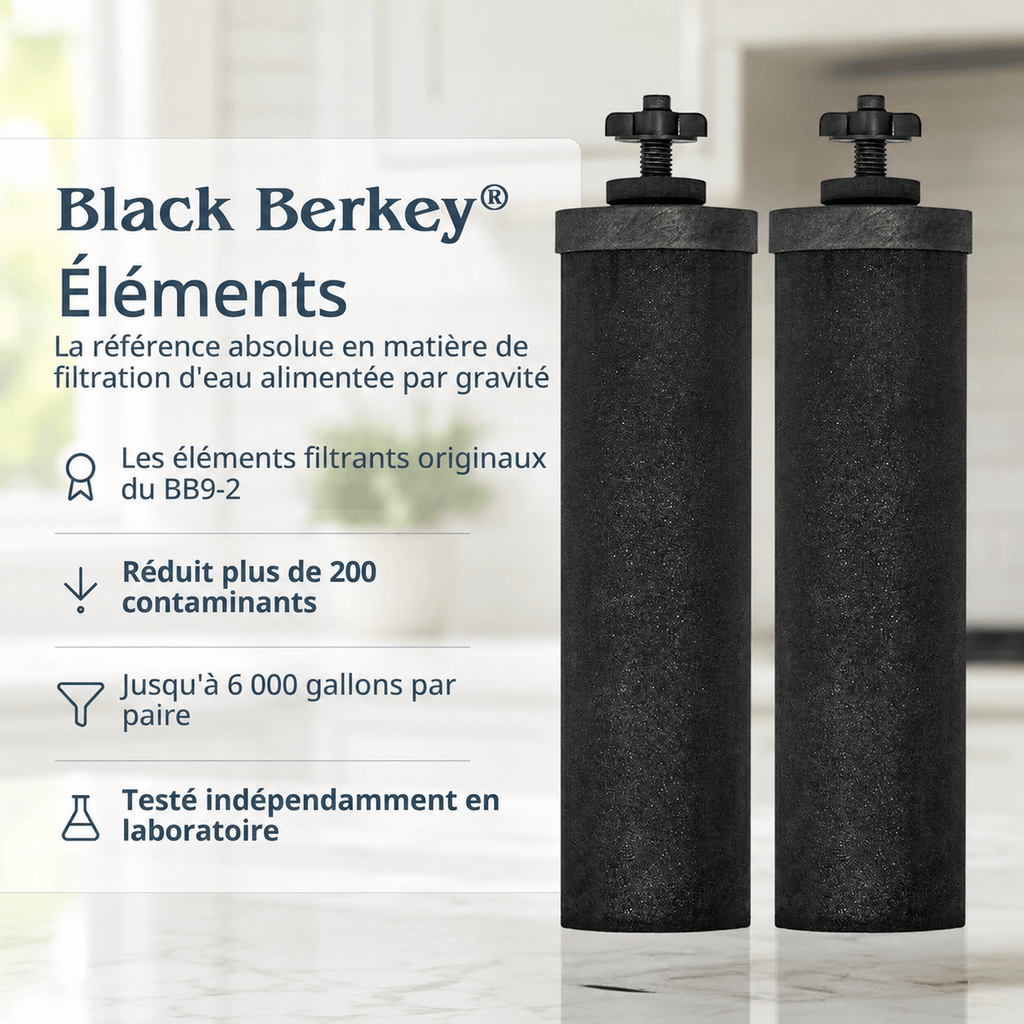Fontaine berkey filtration Royal Berkey® 12.3 litres - 2 filtres Black Berkey® - Ref RB4X2-BB Berkey