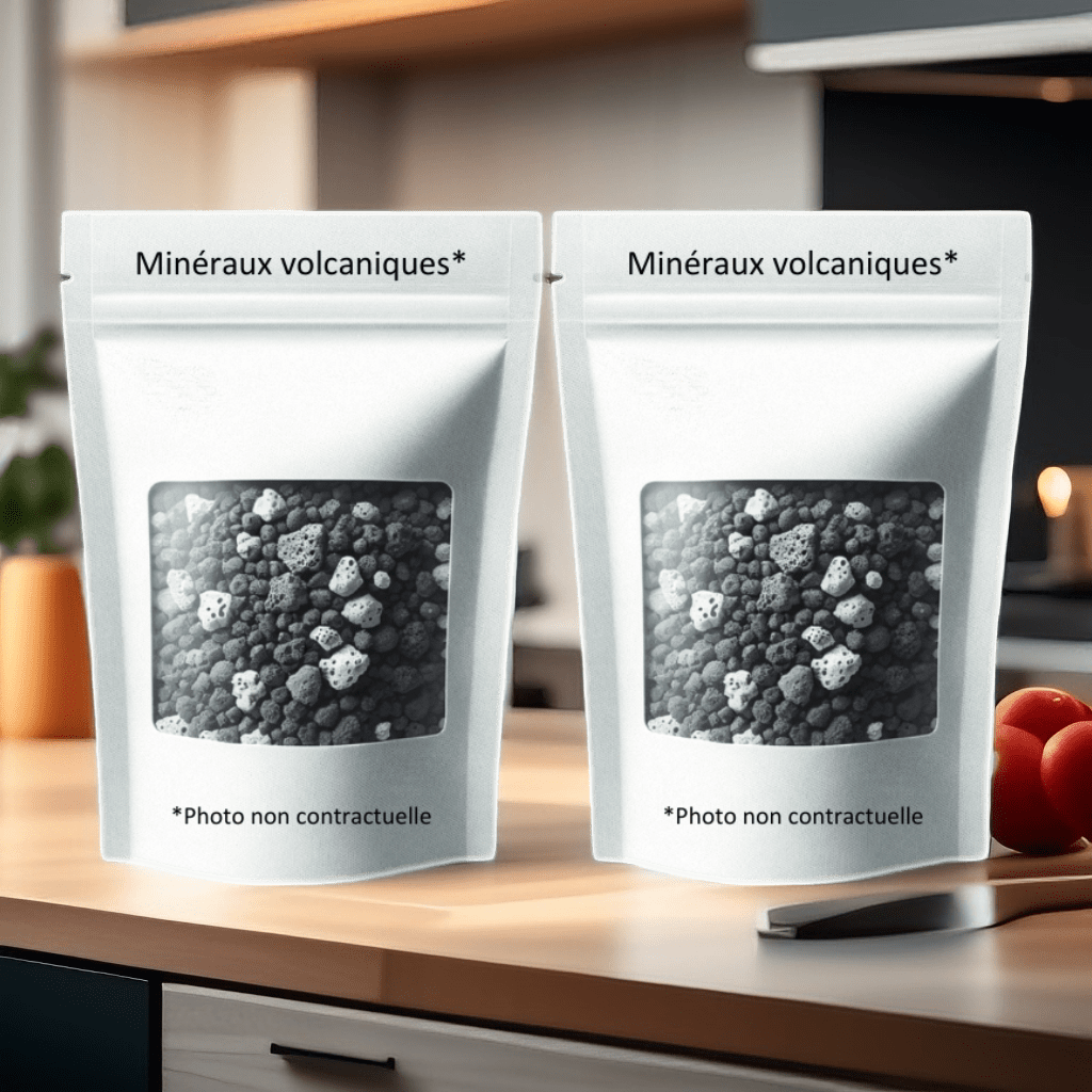 EVA UNITED LTD Cartouches pour filtres à eau Pack 2X Sachets de minéraux volcaniques pour la corbeille bleue - fontaine a eau EVA