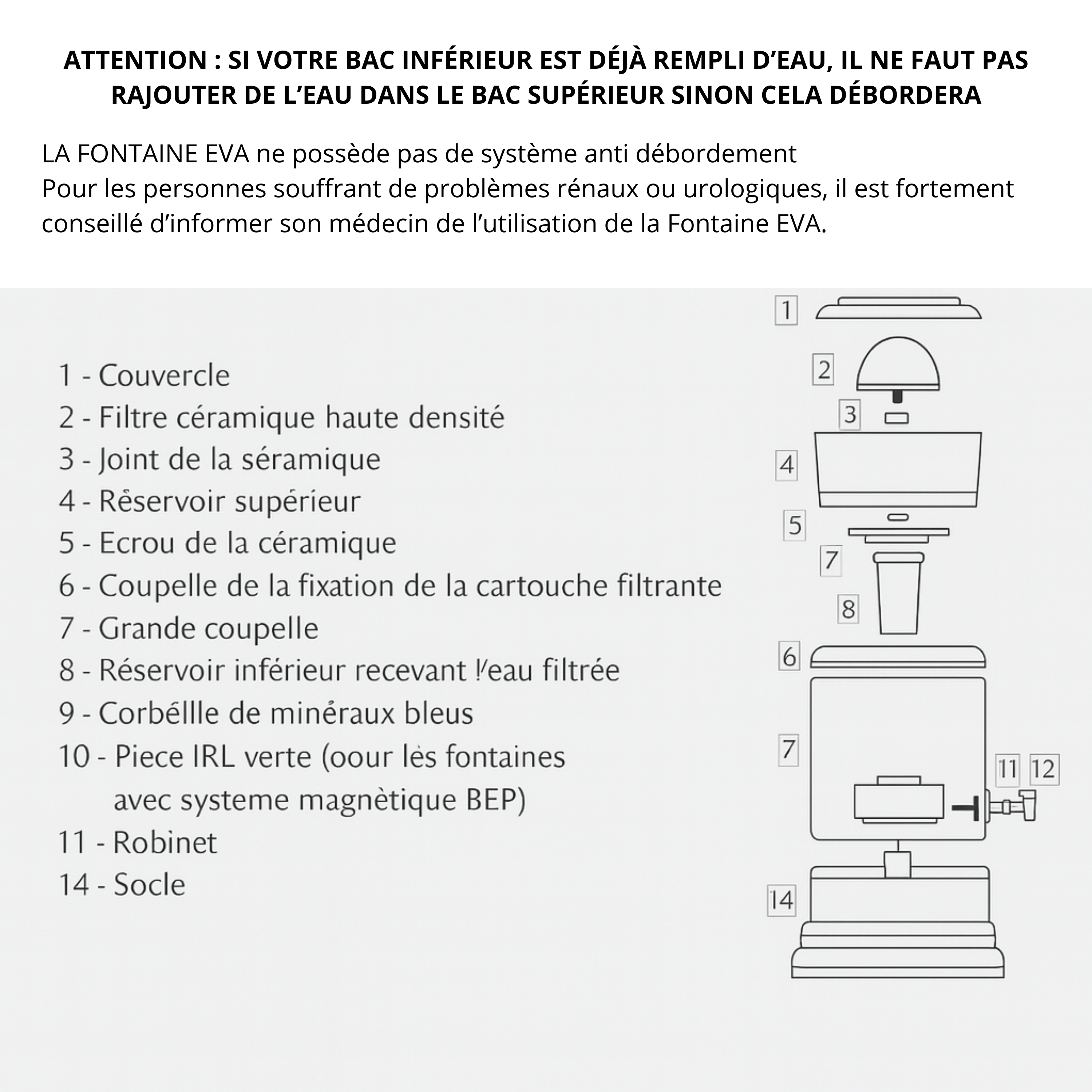 EVA UNITED LTD fontaine à eau Fontaine EVA - bep - cuve en verre, 7 litres - avec système magnétique