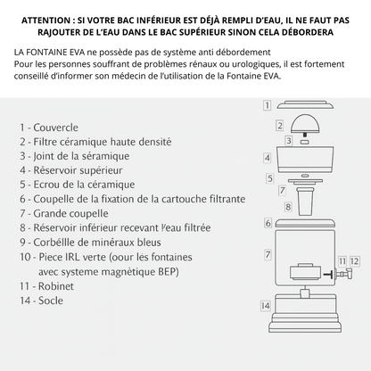 EVA UNITED LTD fontaine à eau Fontaine EVA - bep - cuve en verre, 7 litres - avec système magnétique