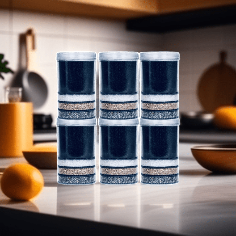 EVA UNITED LTD Filtration promo pack Ultimate filter cartridges - Set of 6 - Fontaine Eva