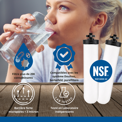 Monderma waterfilters fontaine monderma Monderma Fontaine Big 8.5L inox - 2 white filters - robinet inox - 6 mois de filtration