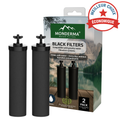 Monderma waterfilters Monderma éléments de filtration Monderma Black filters - cartouche filtration MD-black-filter-2, 12 mois, compatibles berkey